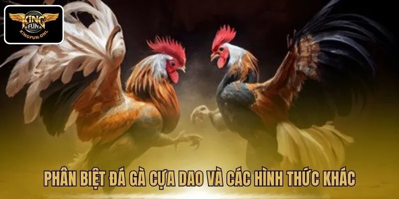 Phân biệt đá gà cựa dao và các hình thức khác